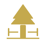 Tree survey service icon